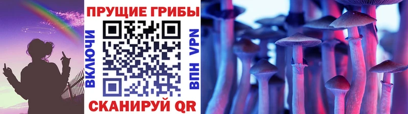 Псилоцибиновые грибы Psilocybine cubensis  Жуковский 